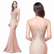 Pink Embroidered Fish Tail Gown (FREE Stick On Bra)